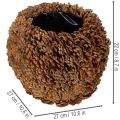 Cache-pot décoratif en pommes de pin rond 27 cm marron naturel | Floristik24.fr