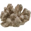 Décoration maritime, animal marin, déco corail polyrésine 13.5x11.5cm