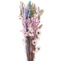 Floristik24 Bouquet de fleurs séchées fleurs de paille grain de Phalaris 58cm