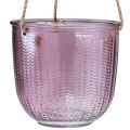 Floristik24 Pot de fleur lanterne en verre à suspendre violet vert 14cm 2pcs