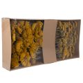 Achillea séchée jaune 1 kg,