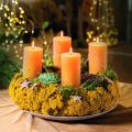 Achillea séchée jaune 1 kg, fleurs séchées naturelles | Floristik24.fr