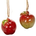 Floristik24 Pomme décorative en céramique à suspendre 5 cm rouge et vert - Lot de 4