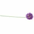 Floristik24 Allium ornemental artificiel violet Ø12cm H62cm