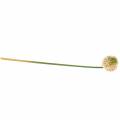 Allium ornemental artificiel rose / vert Ø8cm 58cm