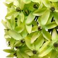 Floristik24 Oignon ornemental Allium, fleur en soie, boule artificielle vert poireau Ø20cm L72cm