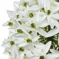 Floristik24 Fleur décorative Allium, boule artificielle poireau, oignon décoratif blanc Ø20cm L72cm