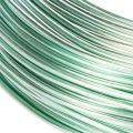 Fil aluminium 2 mm 60 m vert menthe pour bricolage et décoration | Floristik24.fr