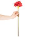 Fleur d'amaryllis rouge artificielle avec tige, décoration florale pour Noël, 50 cm | Floristik24.fr