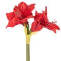 Fleur d'amaryllis rouge artificielle avec tige, décoration florale pour Noël, 50 cm | Floristik24.fr