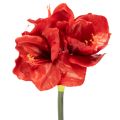 Floristik24 Amaryllis artificielle rouge à longue tige, pour vase et composition florale, 77 cm