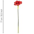 Amaryllis artificielle rouge à longue tige, pour vase et composition florale, 77 cm | Floristik24.fr