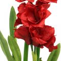 Floristik24 Amaryllis artificielle rouge 3 fleurs en soie sur boules de mousse H64cm