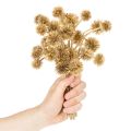 Branche artificielle dorée Amberfruit 26 cm - Lot de 6 | Floristik24.fr