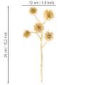 Branche artificielle dorée Amberfruit 26 cm - Lot de 6 | Floristik24.fr