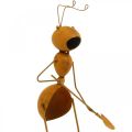 Floristik24 Décoration de jardin, fourmi en métal, cheville végétale patinée, fourmi avec pique