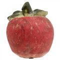 Floristik24 Pomme pour décorer, automne, fruit décoratif en béton, décoration de table Ø13cm