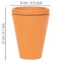 Réservoir d'eau Aquasafe avec fontaine à insectes pour jardin, balcon, terrasse, 12 cm, lot de 3 | Floristik24.fr
