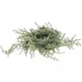 Guirlande d&#39;asperges artificielles blanc, cintre déco gris 170cm