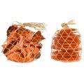 Floristik24 Moules huîtres tranches de capiz en filet orange 3,5–9,5cm 2pcs