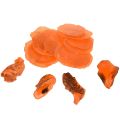 Floristik24 Moules huîtres tranches de capiz en filet orange 3,5–9,5cm 2pcs