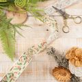Ruban décoratif avec houx et baies bord stable 25mm 18m | Floristik24.fr