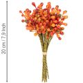 Grappe de baies orange, 20 cm de long | Floristik24.fr