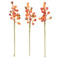 Grappe de baies orange, 20 cm de long | Floristik24.fr