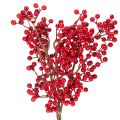 Floristik24 Branche artificielle de houx avec baies rouges pour décoration intérieure 47 cm - Lot de 3
