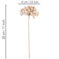 Branche Artificielle de Baies Champagne 28 cm – Lot de 3 | Floristik24.fr