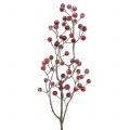 Floristik24 Branche de baies rouge glacée 52cm