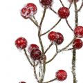 Floristik24 Branche de baies rouge glacée 52cm