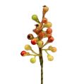 Floristik24 Branche de baies rouge / jaune 20cm 12pcs