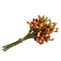 Floristik24 Branche de baies rouge / jaune 20cm 12pcs