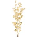 Floristik24 Lot de 3 branches artificielles de baies dorées 70 cm