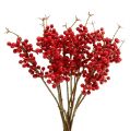 Floristik24 Branche de baies rouges L. 30 cm 12 p.