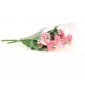 Floristik24 Bouquet de pâquerettes roses 24 cm 2 p.