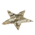 Étoiles de bouleau 6cm 100 pièces | Floristik24.fr