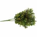 Floristik24 Branche décorative en buis vert 40cm