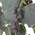Guirlande décorative feuilles de vigne et raisins guirlande d&#39;automne 180cm