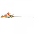 Floristik24 Fleur décorative dahlia, décoration automne, fleur de soie orange 55cm Ø9 / 11cm