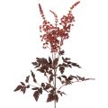 Floristik24 Astilbe artificielle à longue tige, splendeur 80 cm