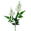 Floristik24 Branche de fleurs blanches 78cm 3P