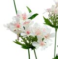 Floristik24 Branche fleurie blanche L70cm
