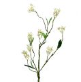 Floristik24 Branche fleurie blanche L 65cm 1 pièce Plante artificielle comme la vraie !