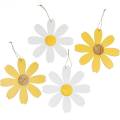 Floristik24 Fleurs en bois, décoration d&#39;été, marguerites jaunes et blanches, fleurs de décoration à suspendre 4pcs