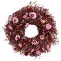 Floristik24 Couronne de fleurs séchées Ø25cm Rouge vin et Rose