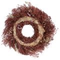 Couronne de fleurs séchées Ø25cm Rouge vin et Rose | Floristik24.fr