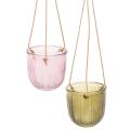 Floristik24 Pot de fleurs/lanterne suspendue en verre, violet/vert, 14 cm, lot de 2