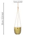 Pot de fleurs/lanterne suspendue en verre, violet/vert, 14 cm, lot de 2 | Floristik24.fr